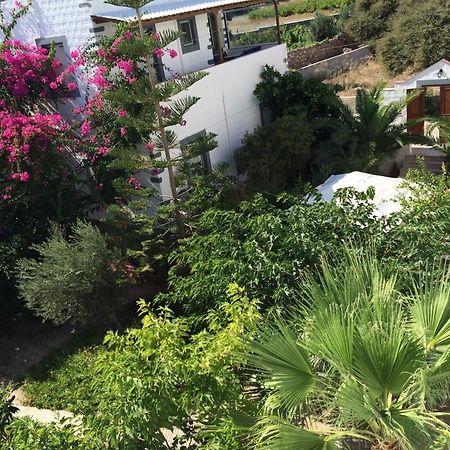Patmos Villas Grikos Bay  Room photo