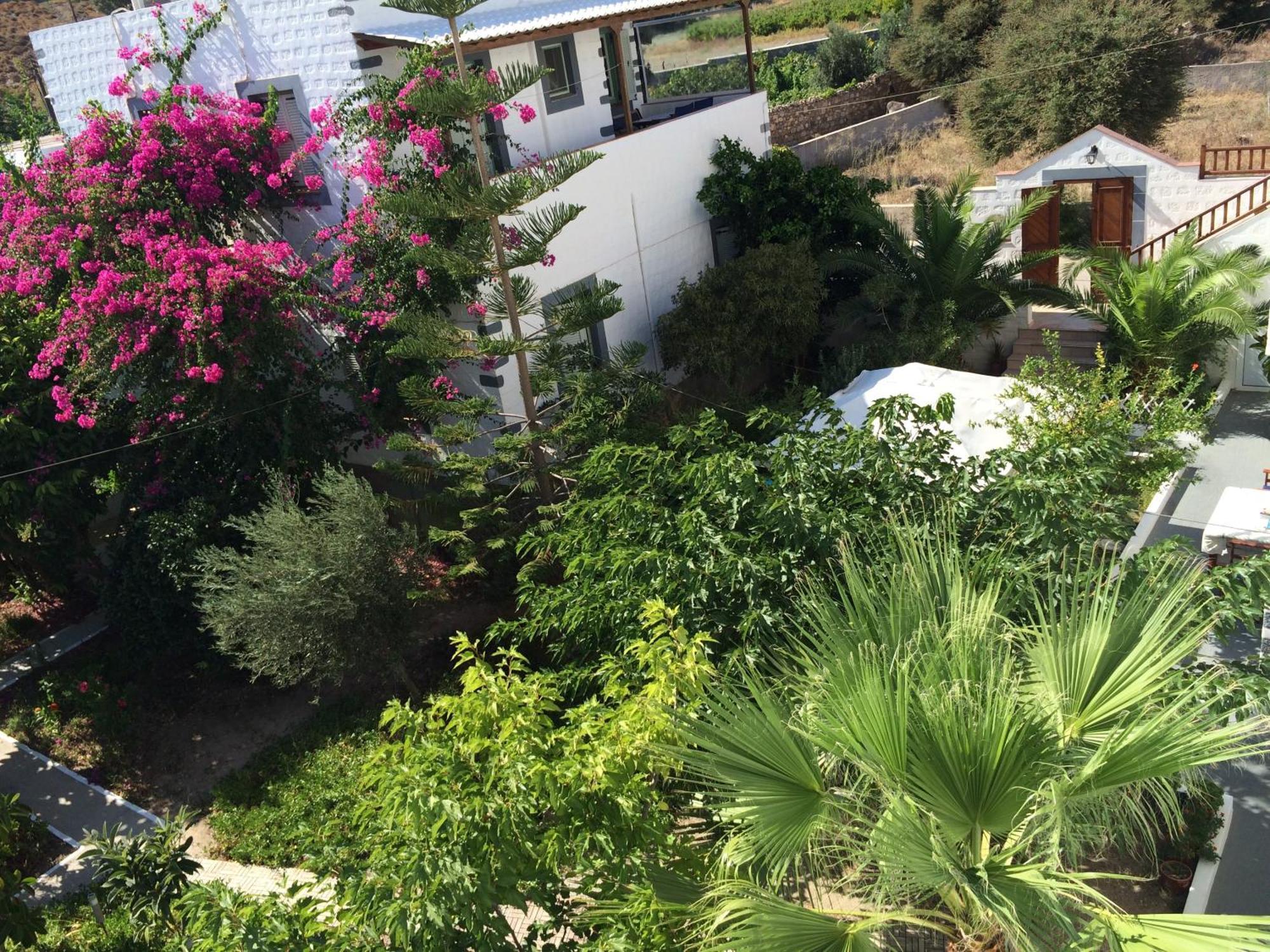 Patmos Villas Grikos Bay  Room photo