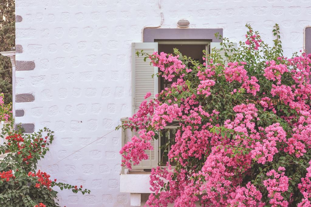 Patmos Villas Grikos Bay  Exterior photo